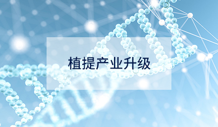 技術(shù)創(chuàng)新如何驅(qū)動(dòng)植提產(chǎn)業(yè)升級(jí)？